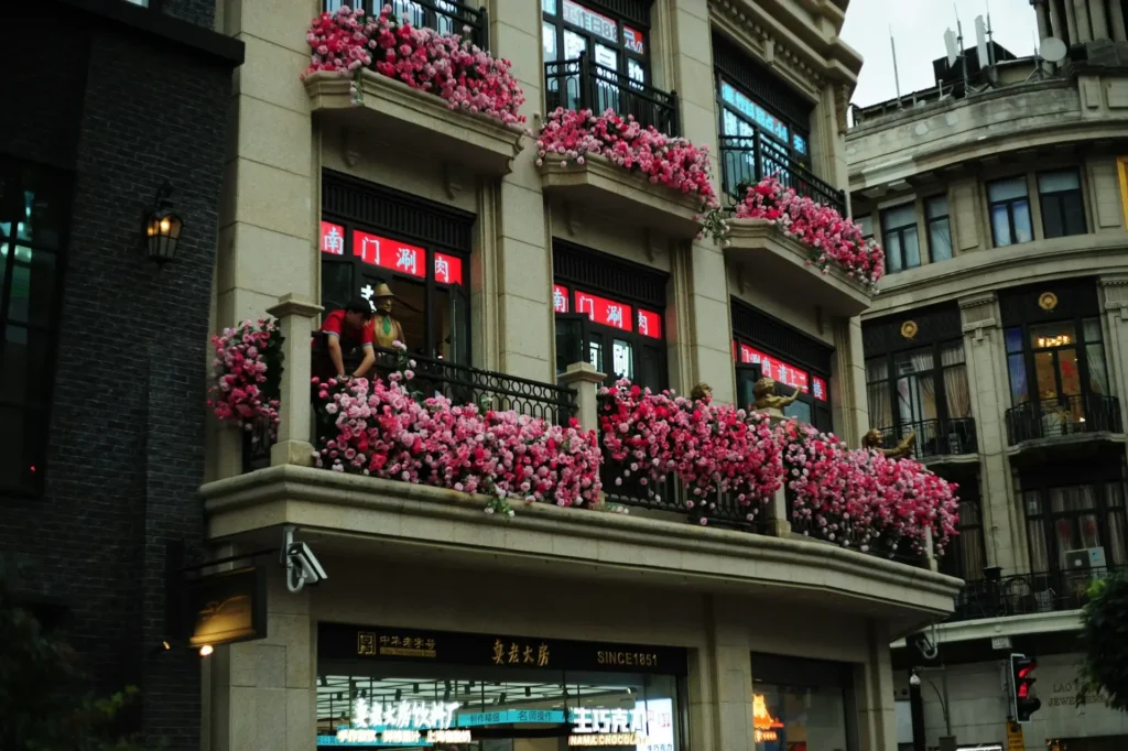 celoročné kvety na balkón